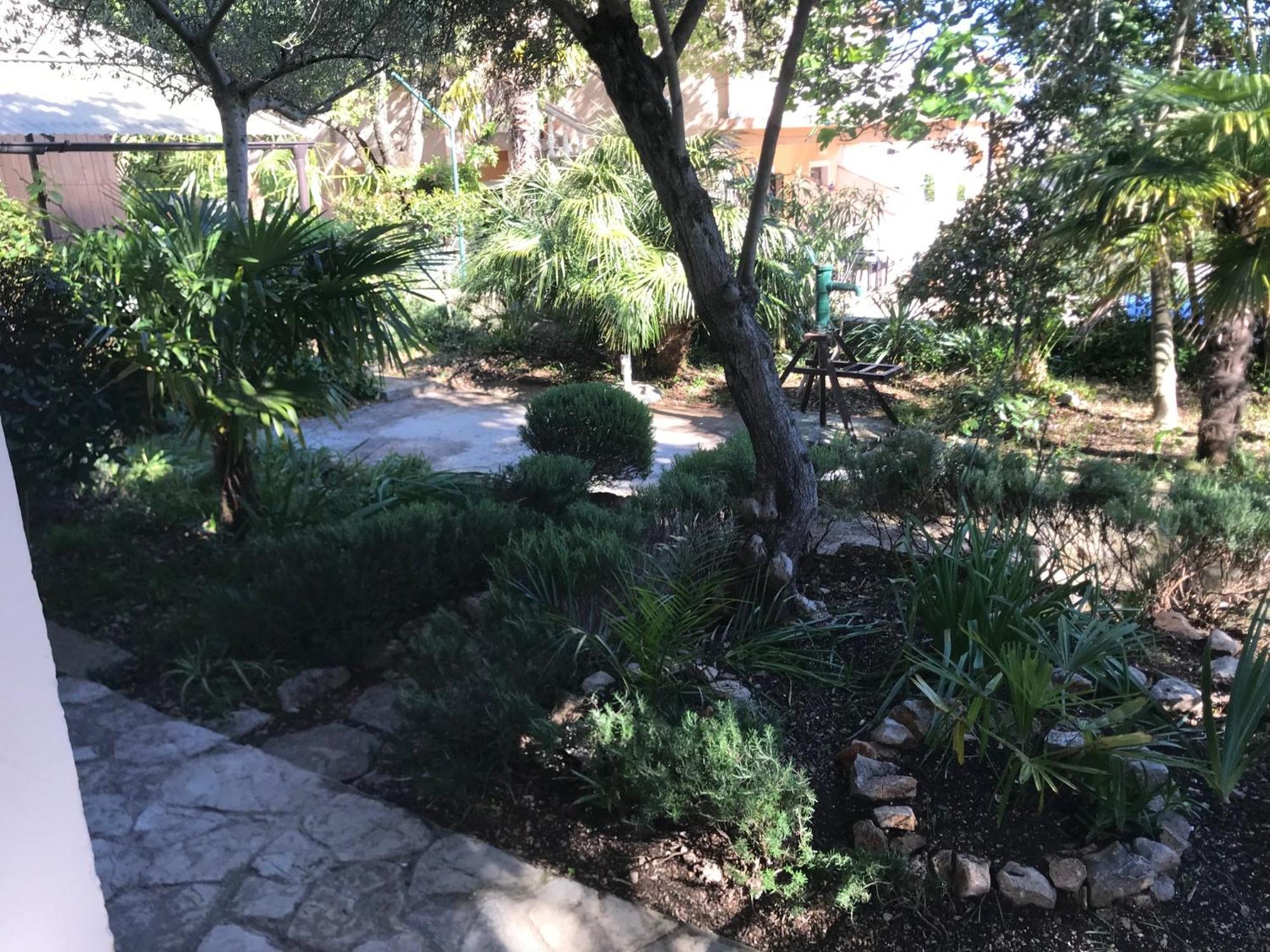 Krk Apartmani Pepina Pinezići 外观 照片