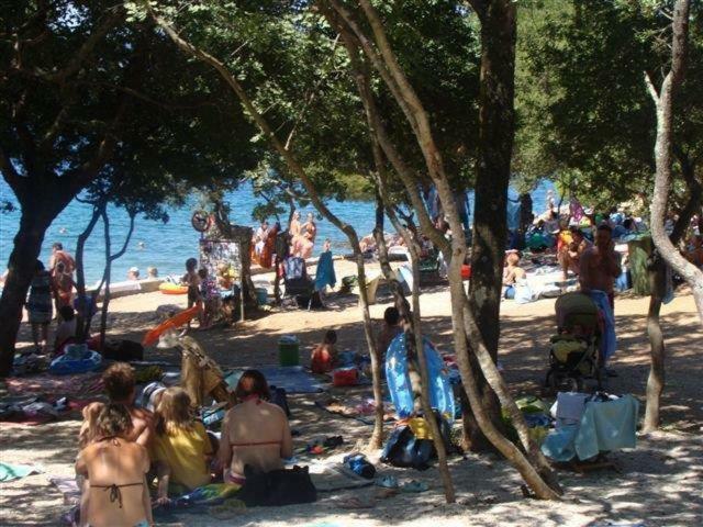 Krk Apartmani Pepina Pinezići 外观 照片